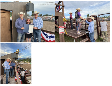 rodeo